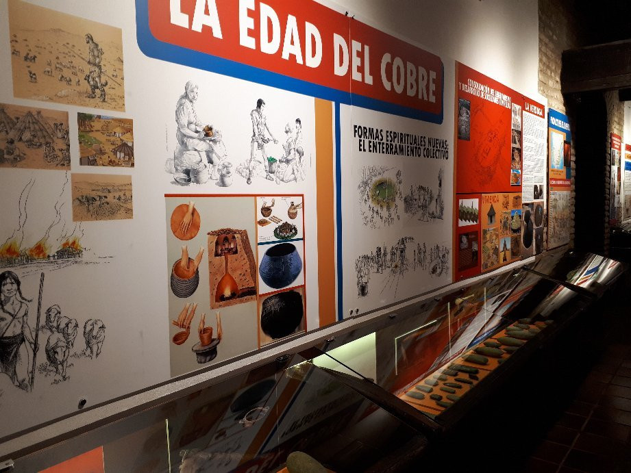 Museo Municipal de Palma del Río景点图片