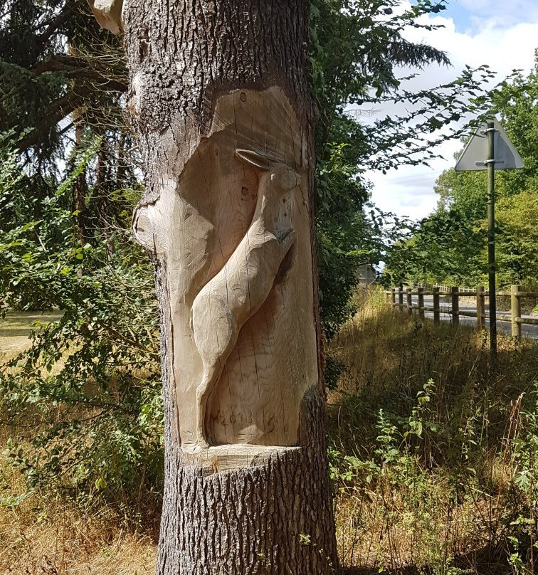 Arche de la Nature景点图片