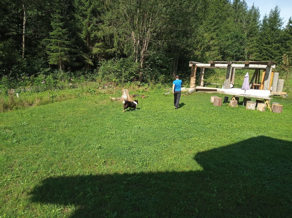 Chalet Le Dorf主图