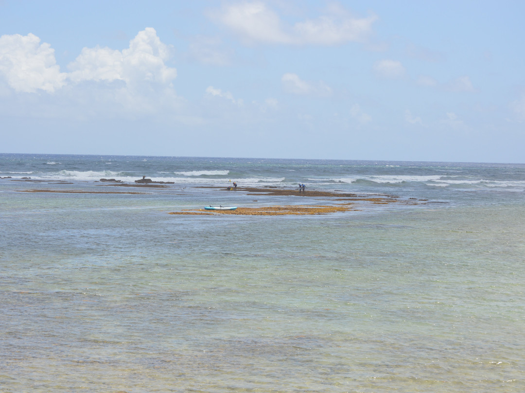 Bath Beach House-Saint John Parish必去景点