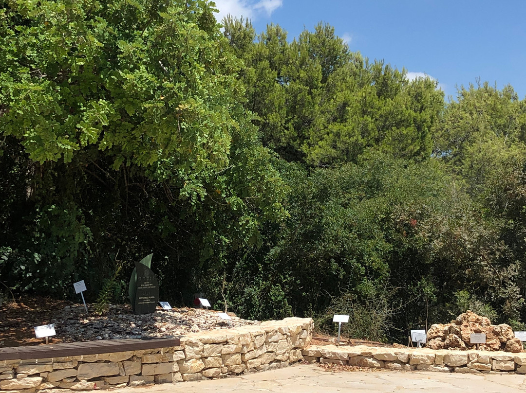 Botanical Garden-特拉维夫必去景点