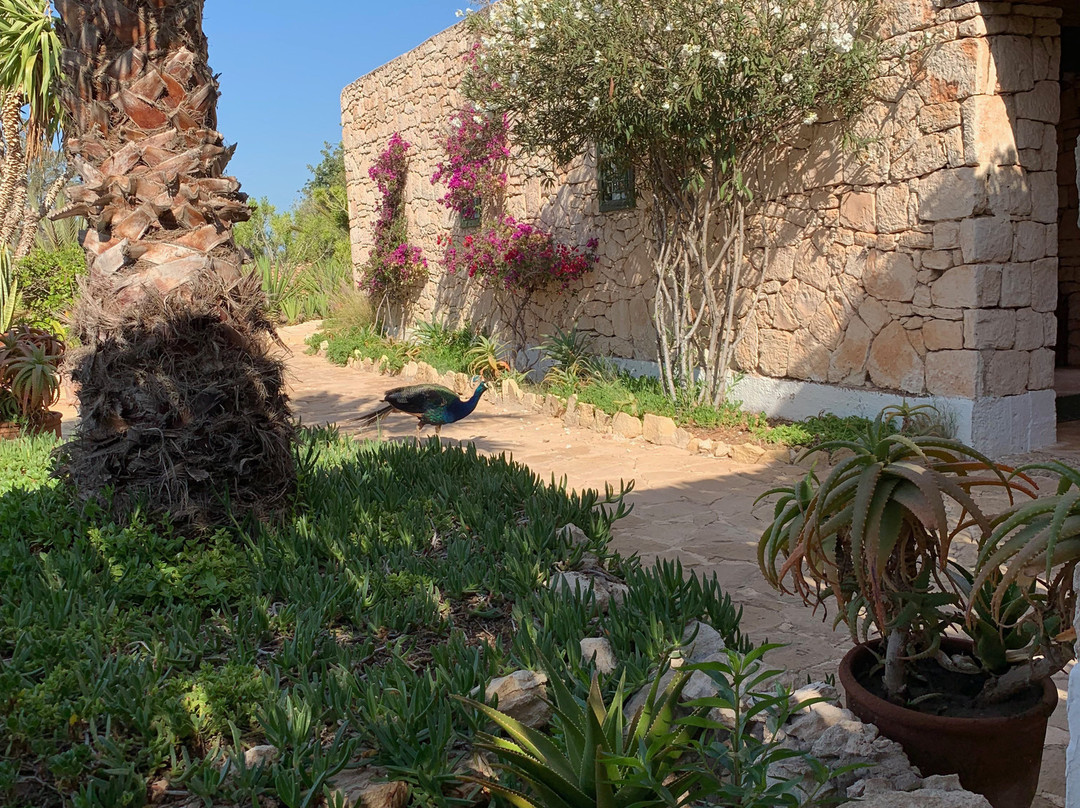 Les Jardins de Villa Maroc主图