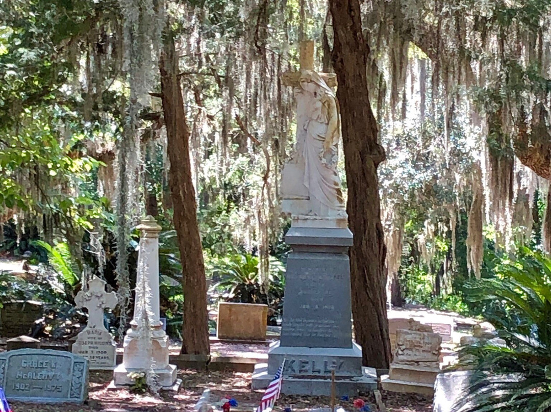 Bosque Bello Cemetery-费尔南迪纳岛必去景点