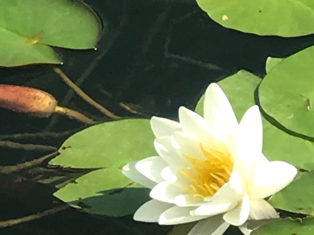 Weldon Woodland Park-Weldon必去景点
