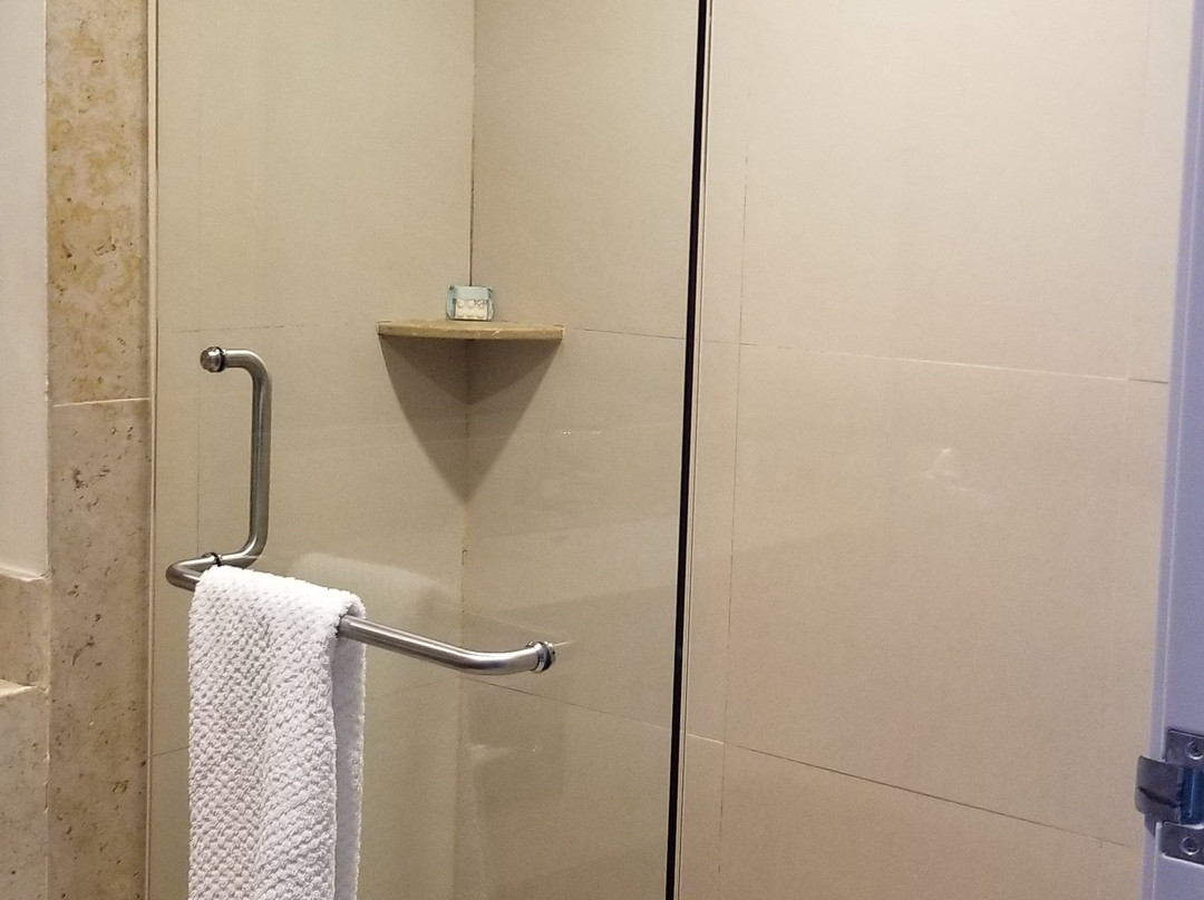 Holiday Inn Express Puerto Vallarta by IHG主图