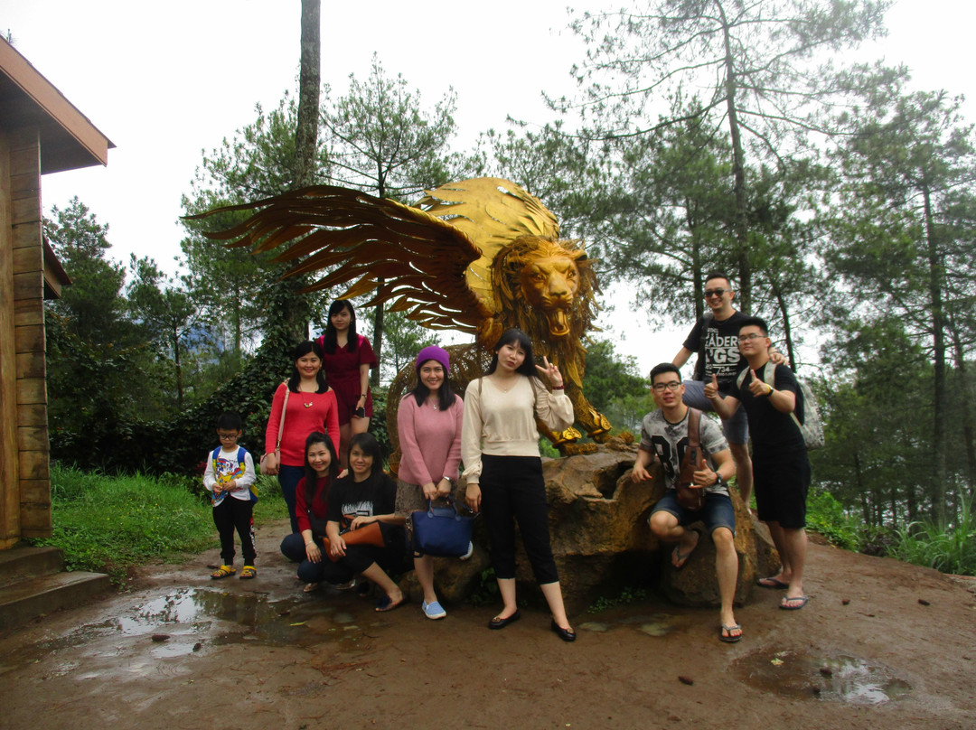 Salika Tour & Travel景点图片