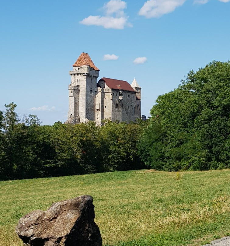Schloss Liechtenstein景点图片
