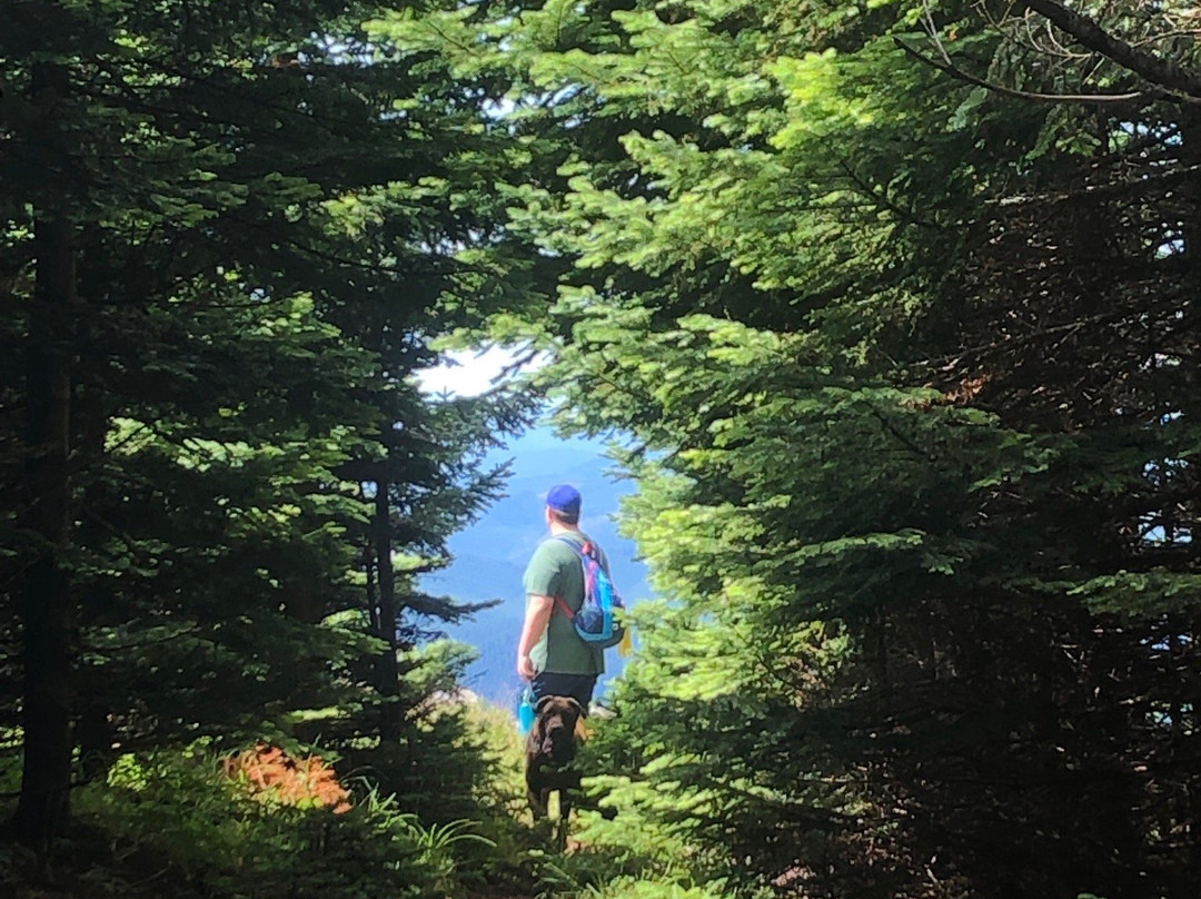 Mary's Peak Trail-Philomath必去景点
