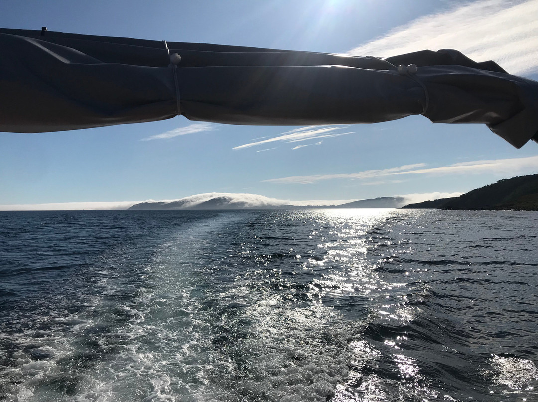 Nauturfis Turismo Nautico de Fisterra景点图片