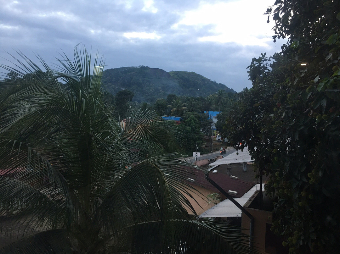 Hotel Hills Park主图