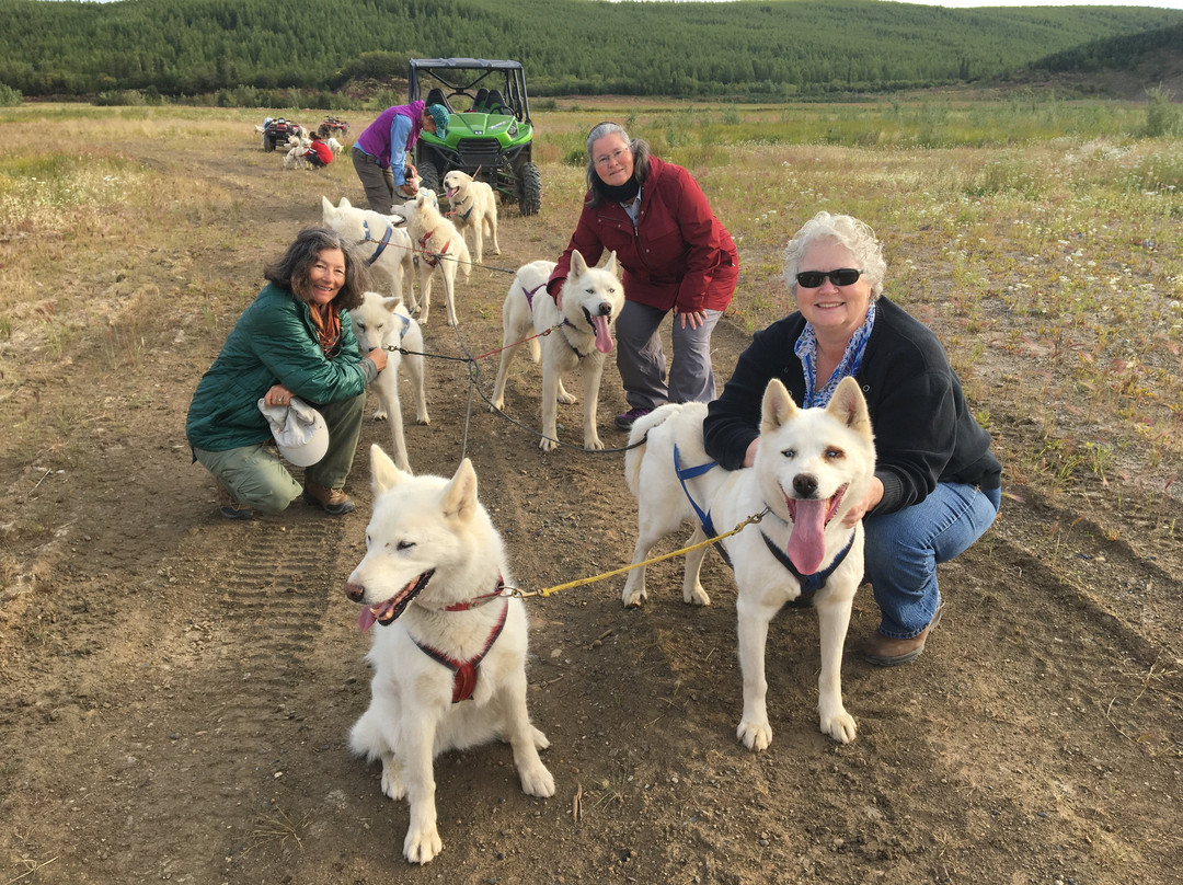 The Arctic Chalet Resort主图