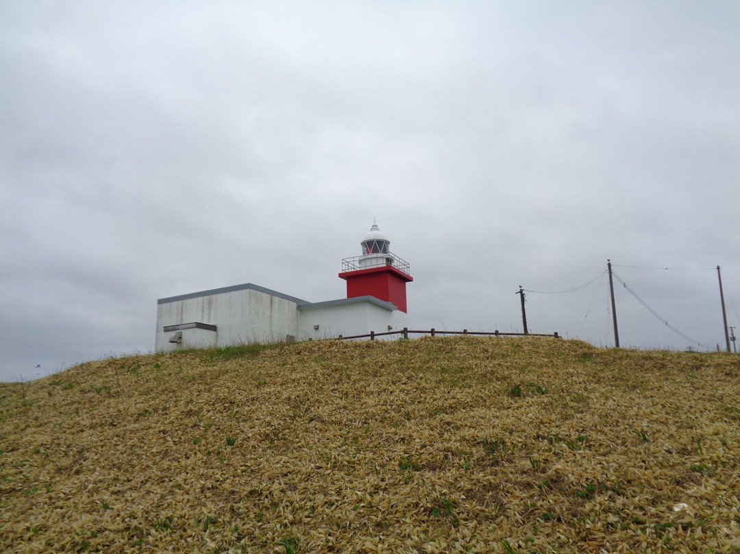 Hanasaki Lighthouse景点图片