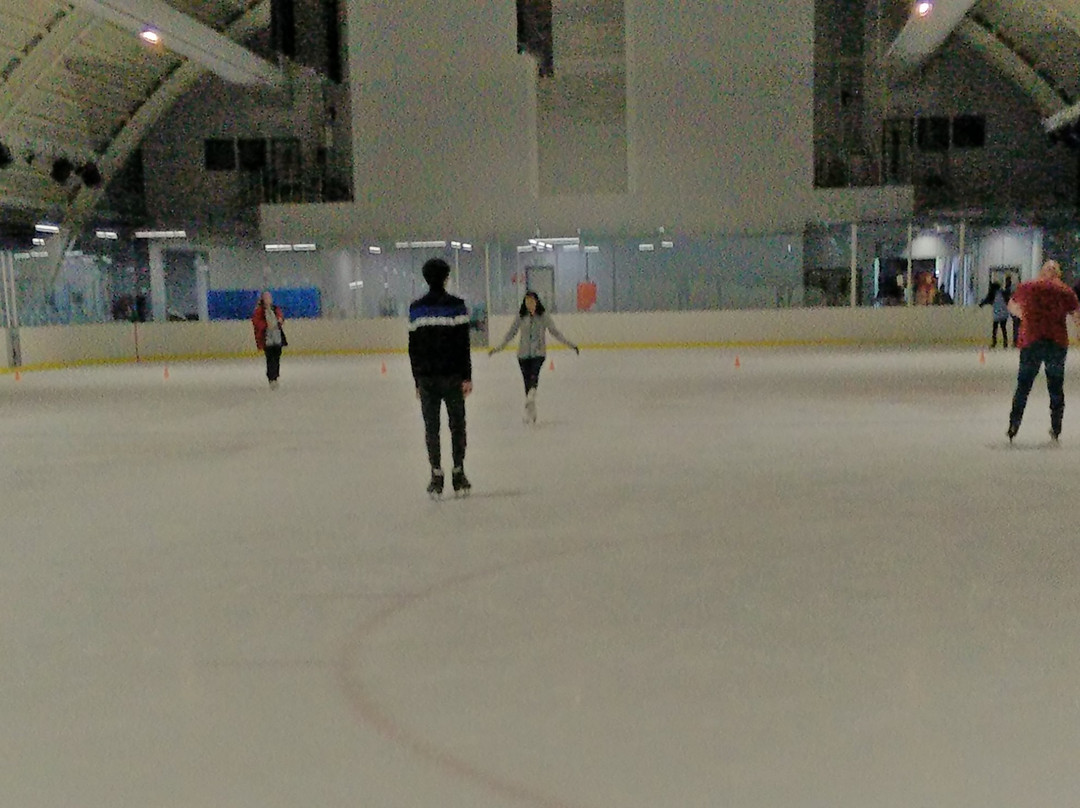 Slough Ice Arena景点图片