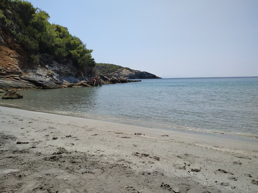 Παραλια Αγαλιπα,Σκυρος景点图片