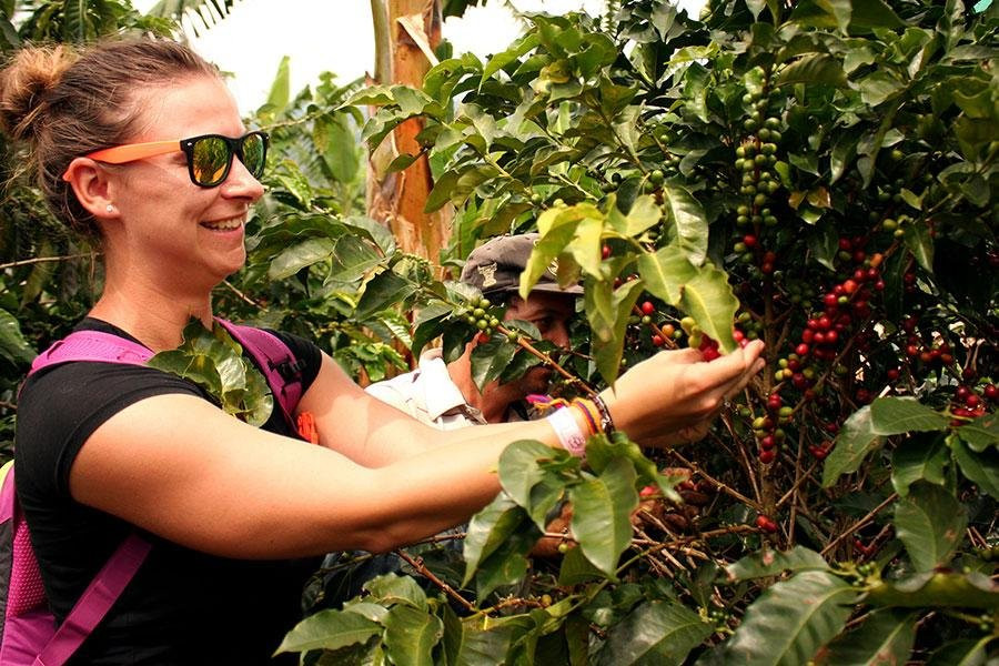 Materuni Cultural Tourism