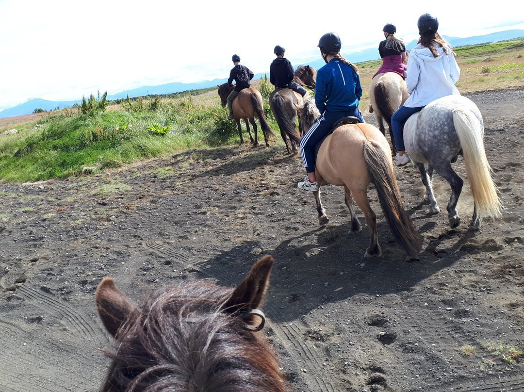 Hella Horse Rental-海拉必去景点