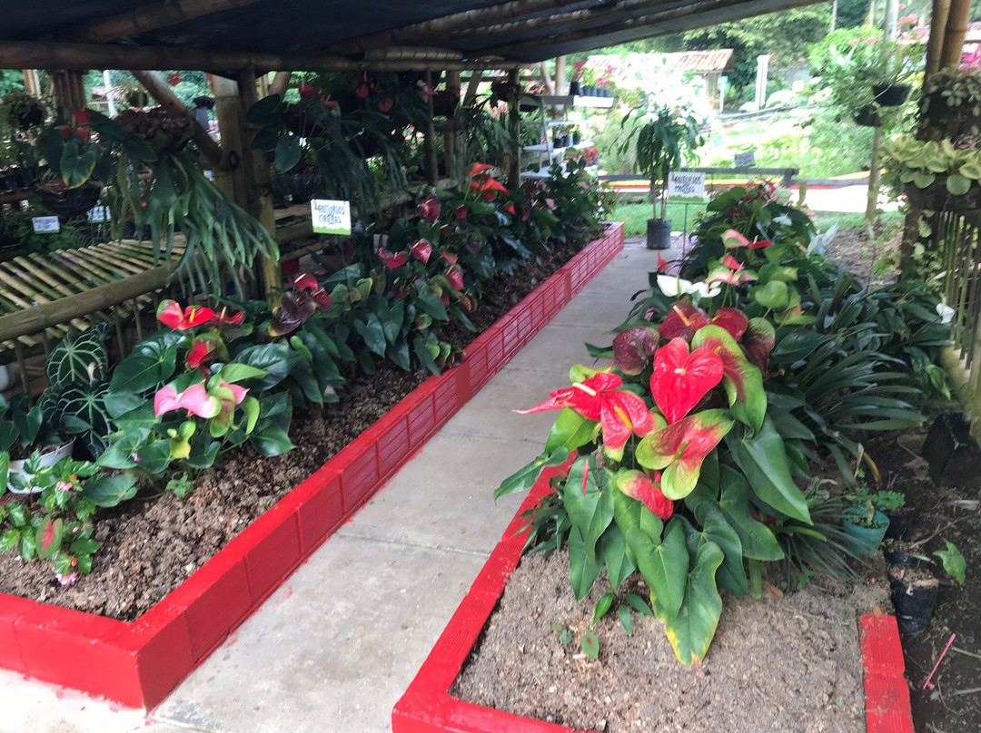 Parque Consota-佩雷拉必去景点