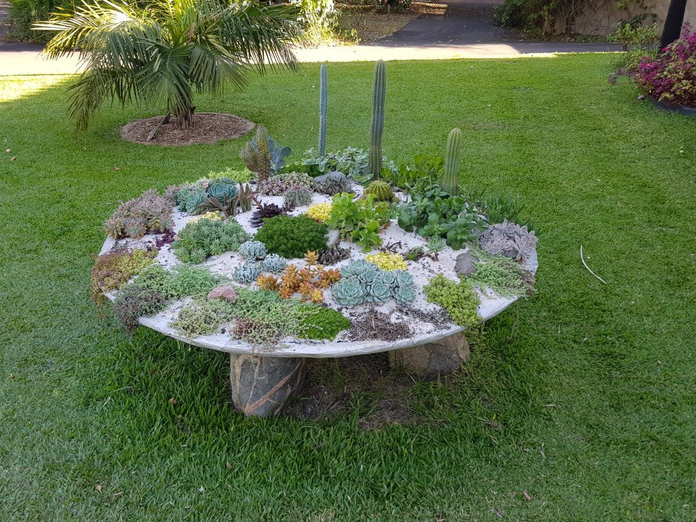 Jardim Botanico De Americana-Americana必去景点