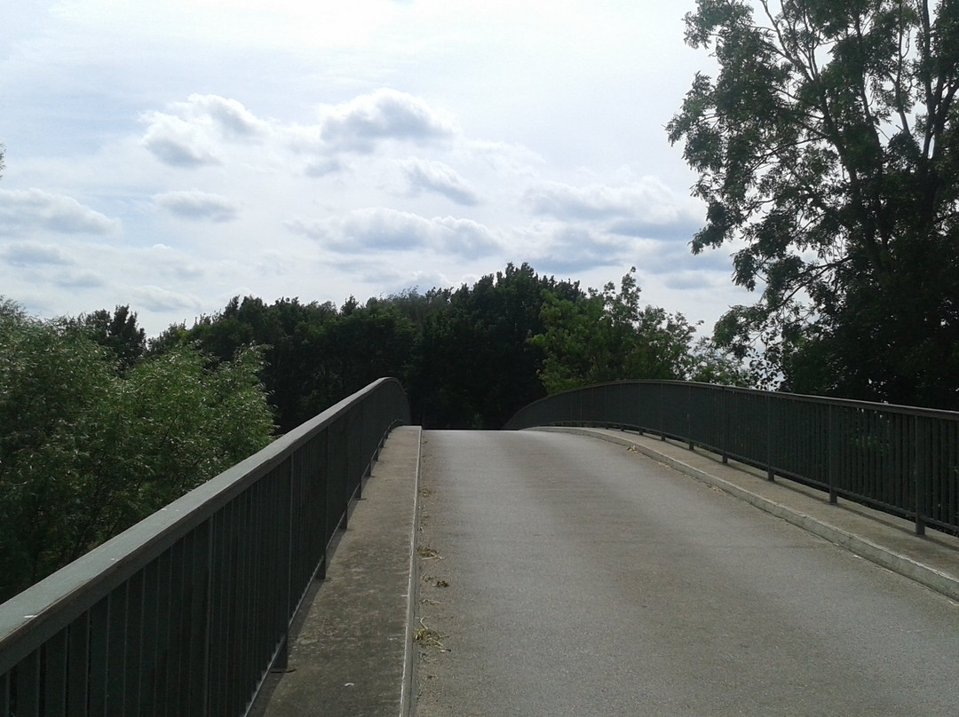 Wittorf旅游攻略图片