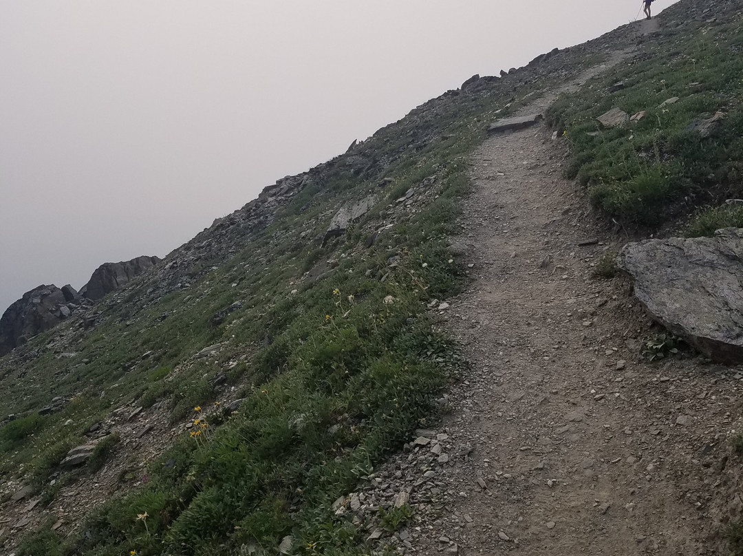 Savage Alpine Trail-德纳利国家公园和自然保护区必去景点