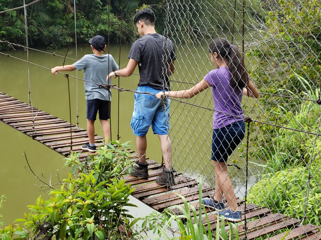 Puente La Hamaca-Adjuntas必去景点