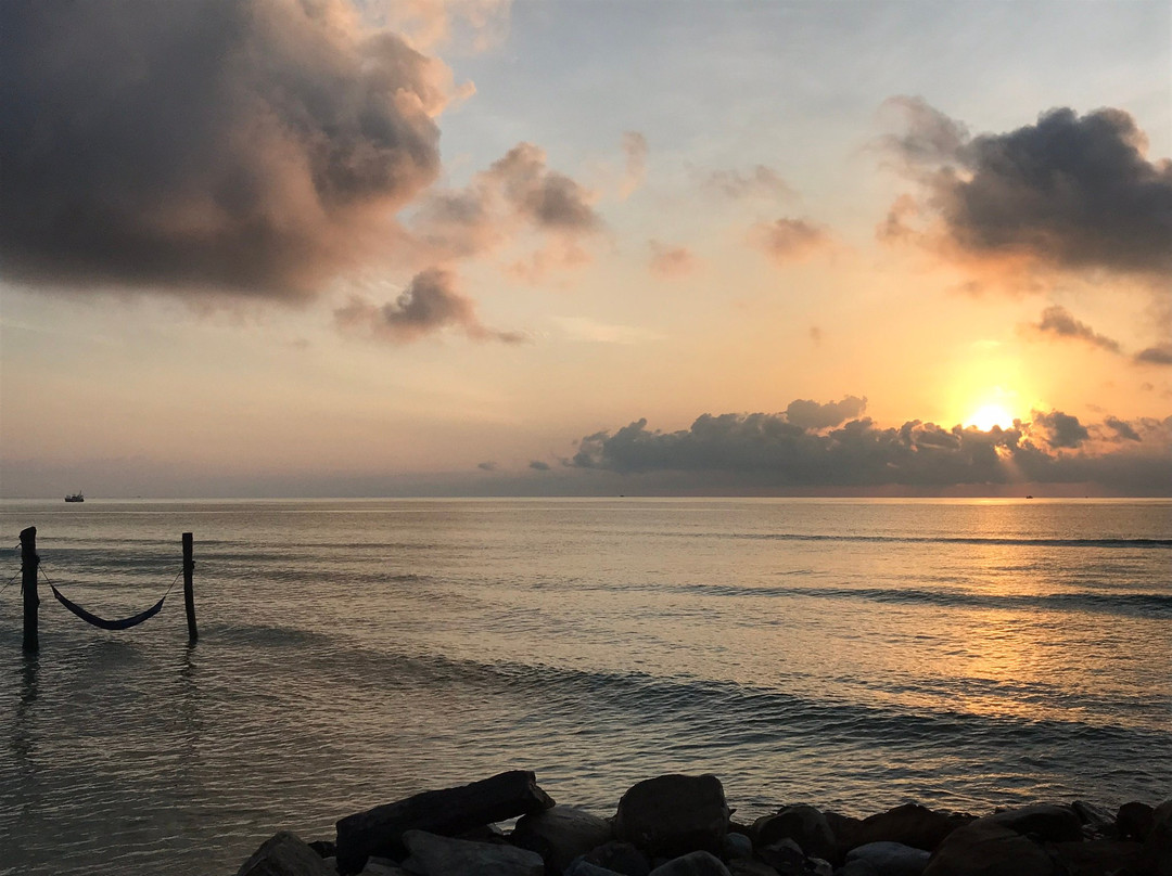 椰子海滩别墅主图