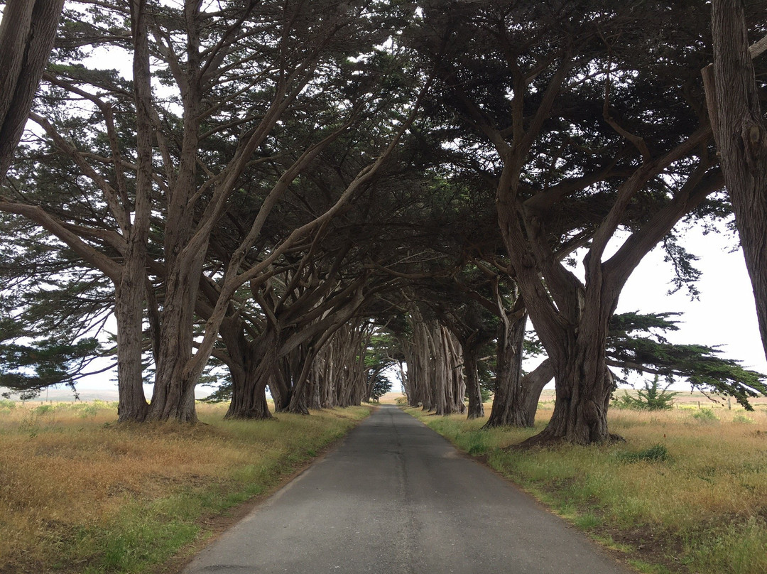 Marconi RCA Wireless Stations-Point Reyes National Seashore必去景点