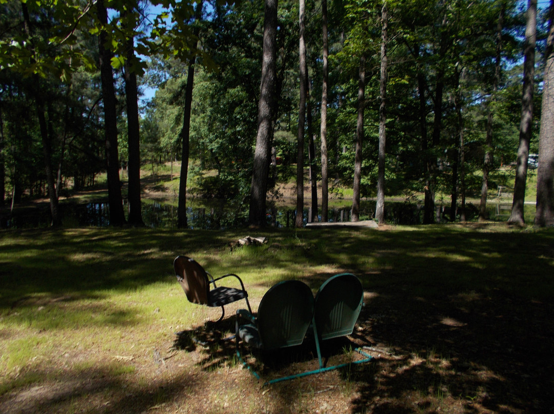 Jacksonville酒店住宿-Beans Creek Ranch Cabin