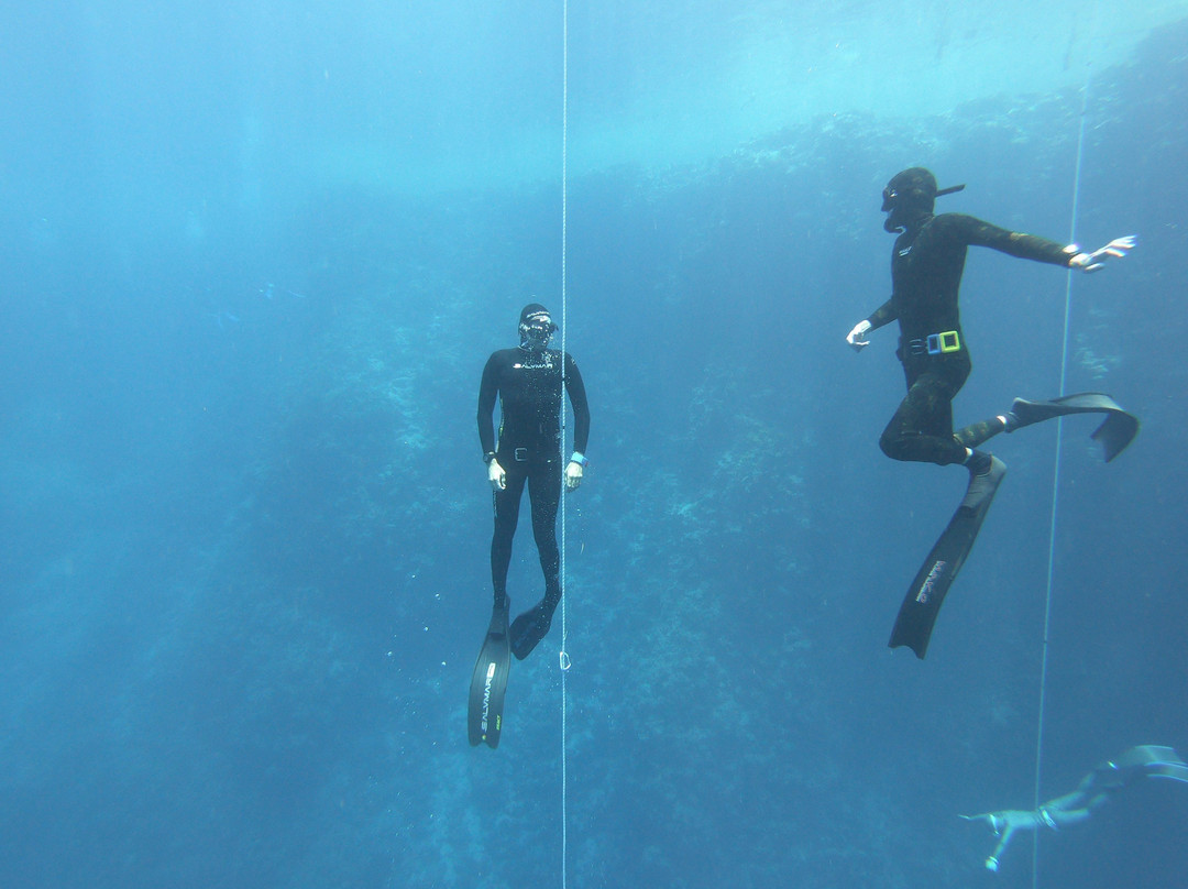 Freedive Dahab-达哈卜必去景点