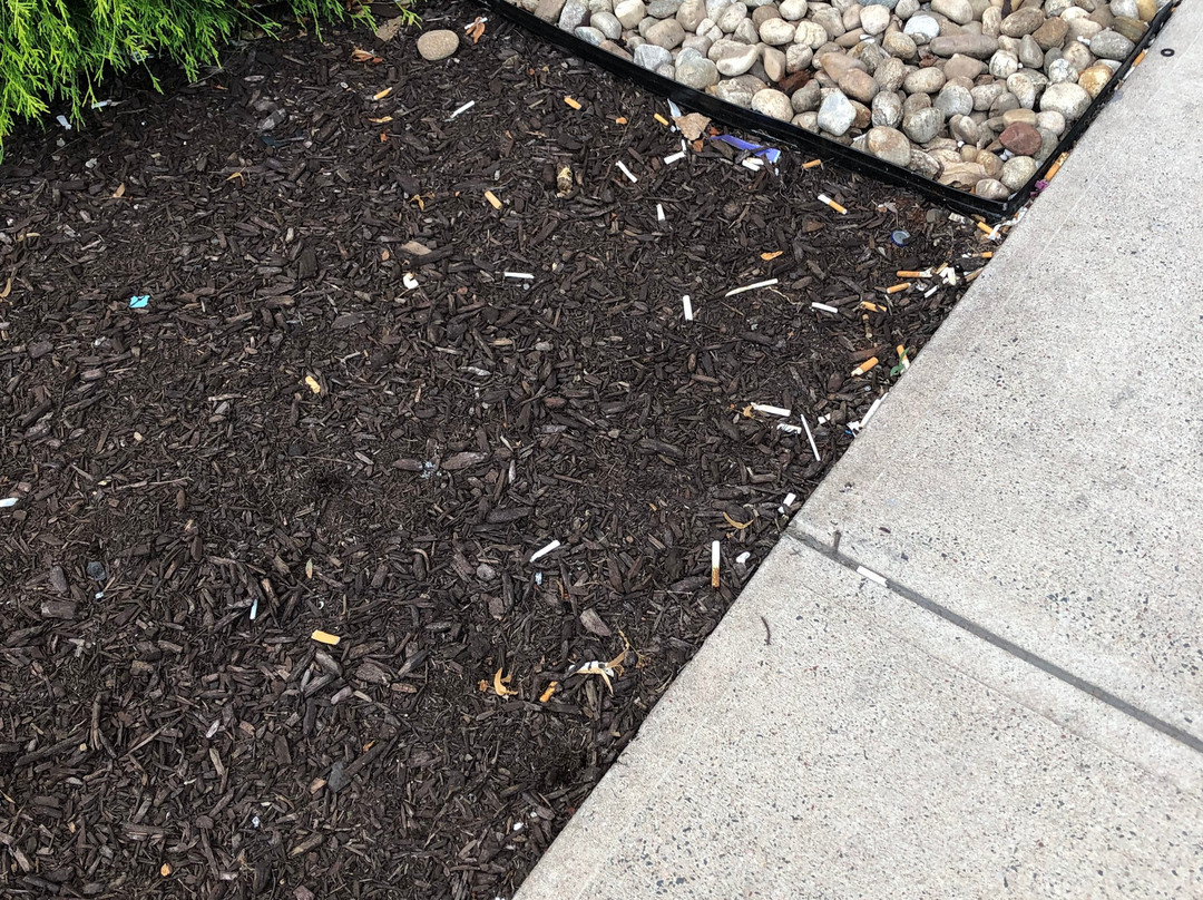 SpringHill Suites by Marriott Hartford Airport/Windsor Locks主图