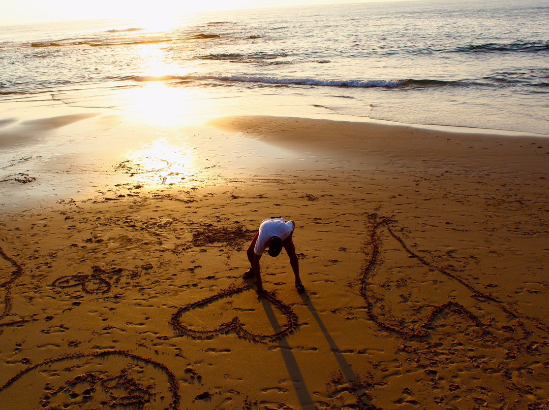 Onda Vicentina主图