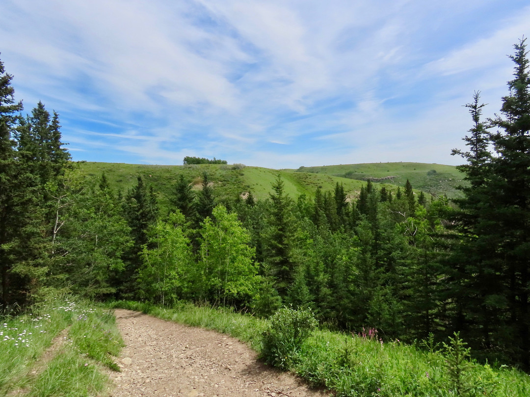 Big Hill Springs Provincial Park-科克伦必去景点