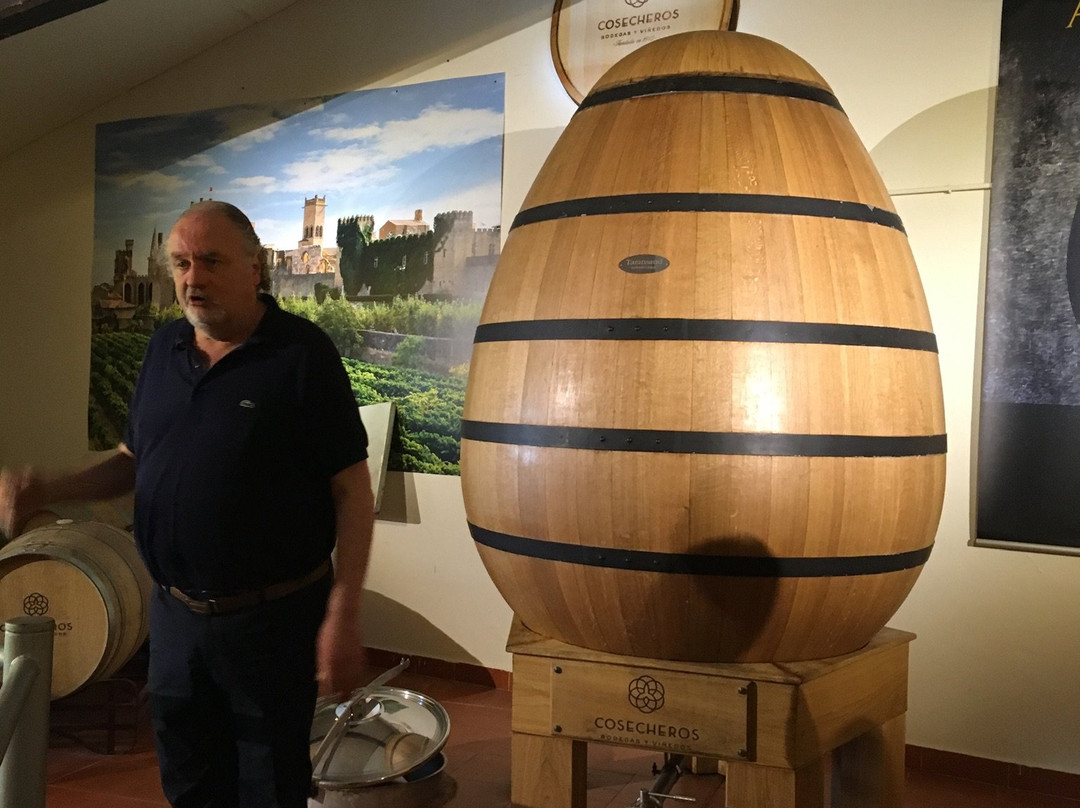 Bodega Cosecheros de Olite-Olite必去景点