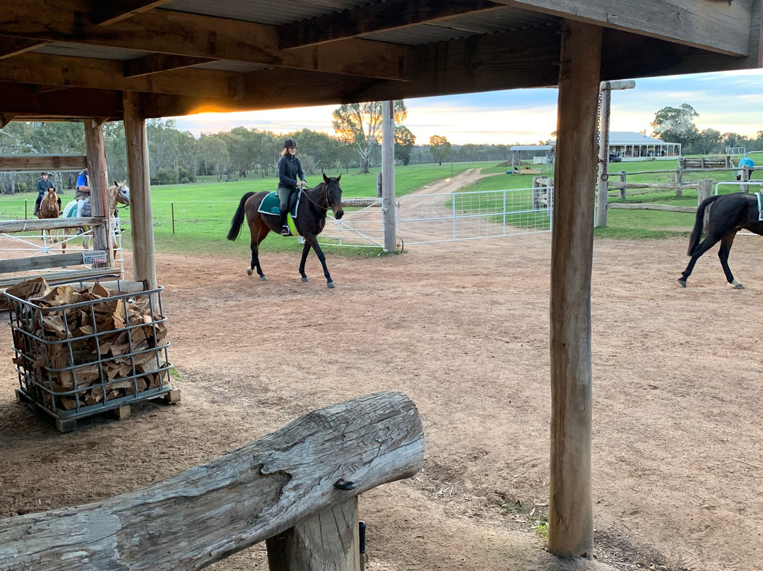 Grampians Horse Riding Centre-Brimpaen必去景点