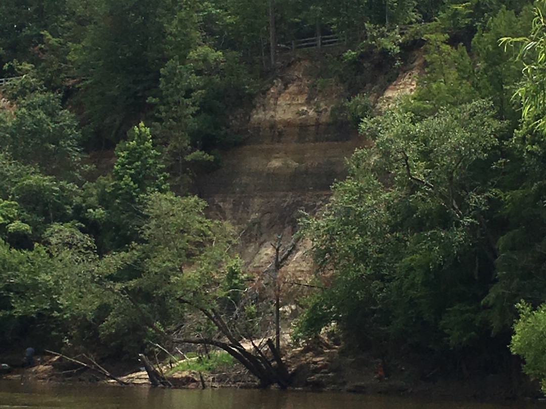 Cliffs of the Neuse State Park景点图片