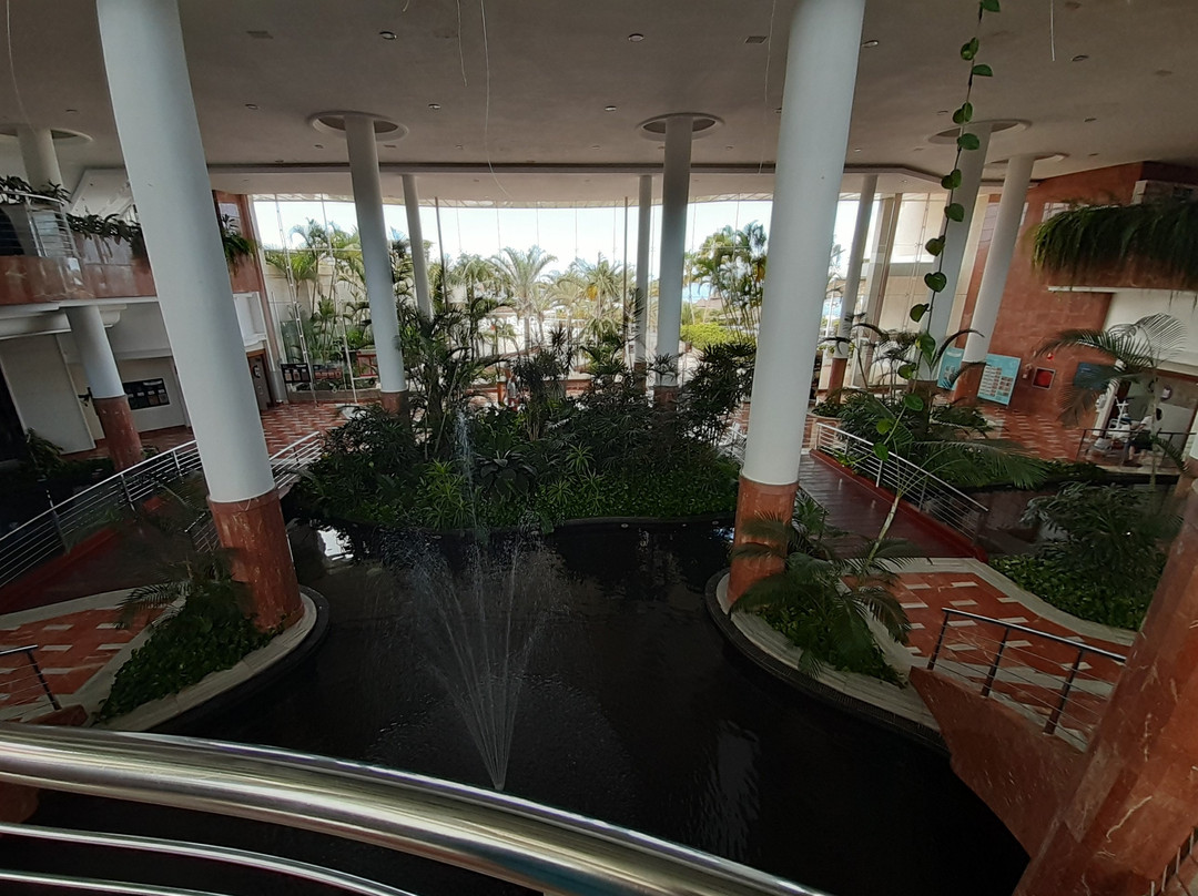 Isla酒店住宿-Hotel Playa La Arena