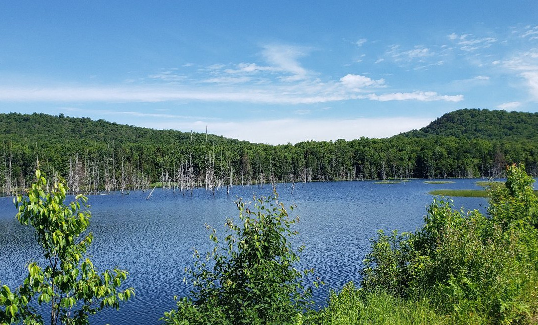 Adirondack Scenic Railroad景点图片