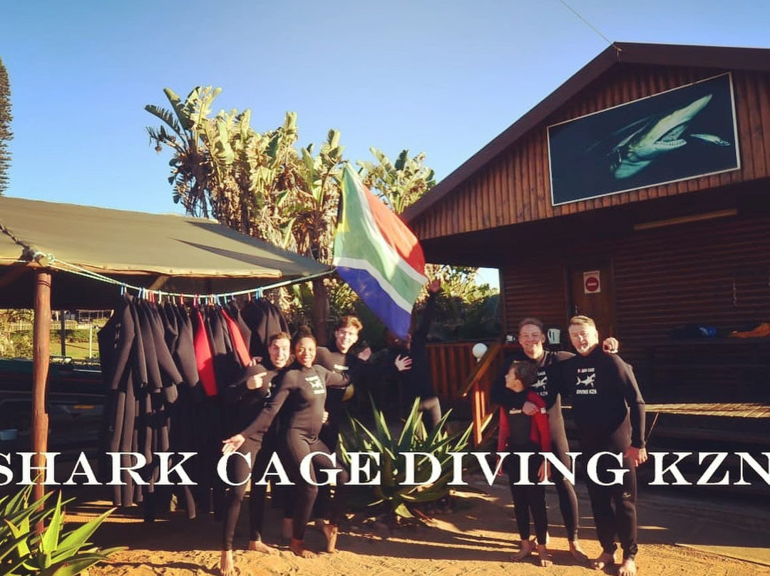 Shark Cage Diving景点图片