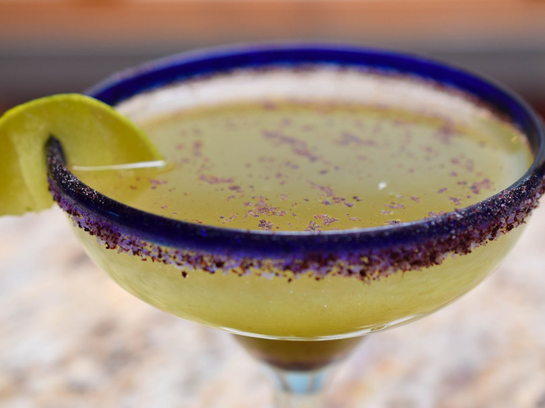 dhyana Center-Sebastopol必去景点