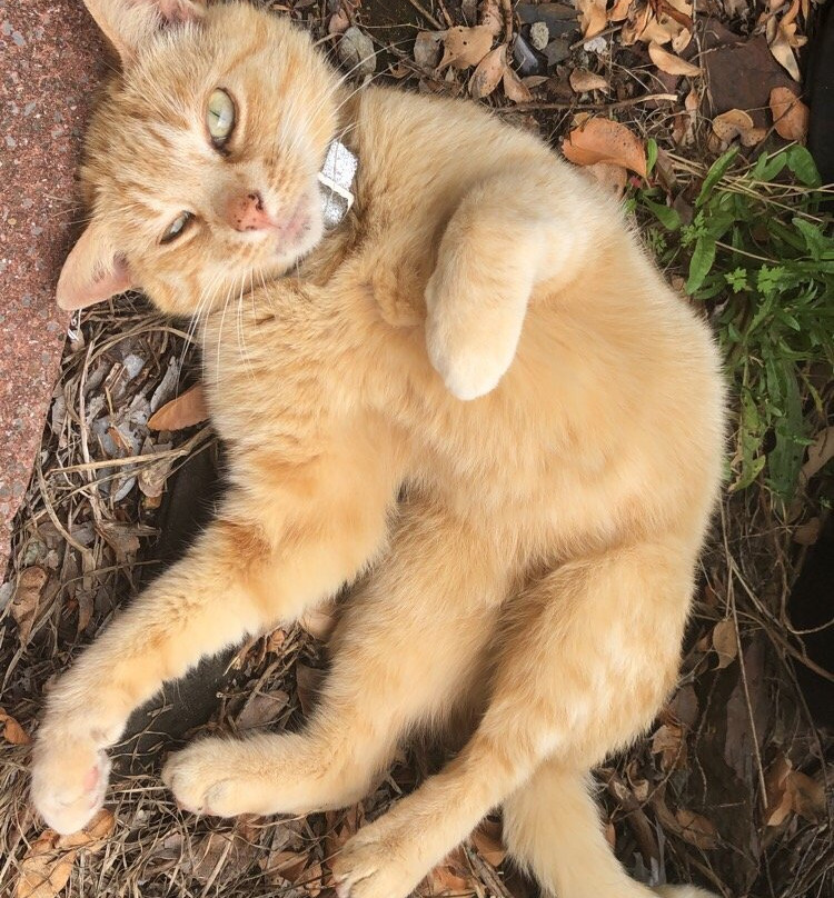 Herbrandston旅游攻略图片