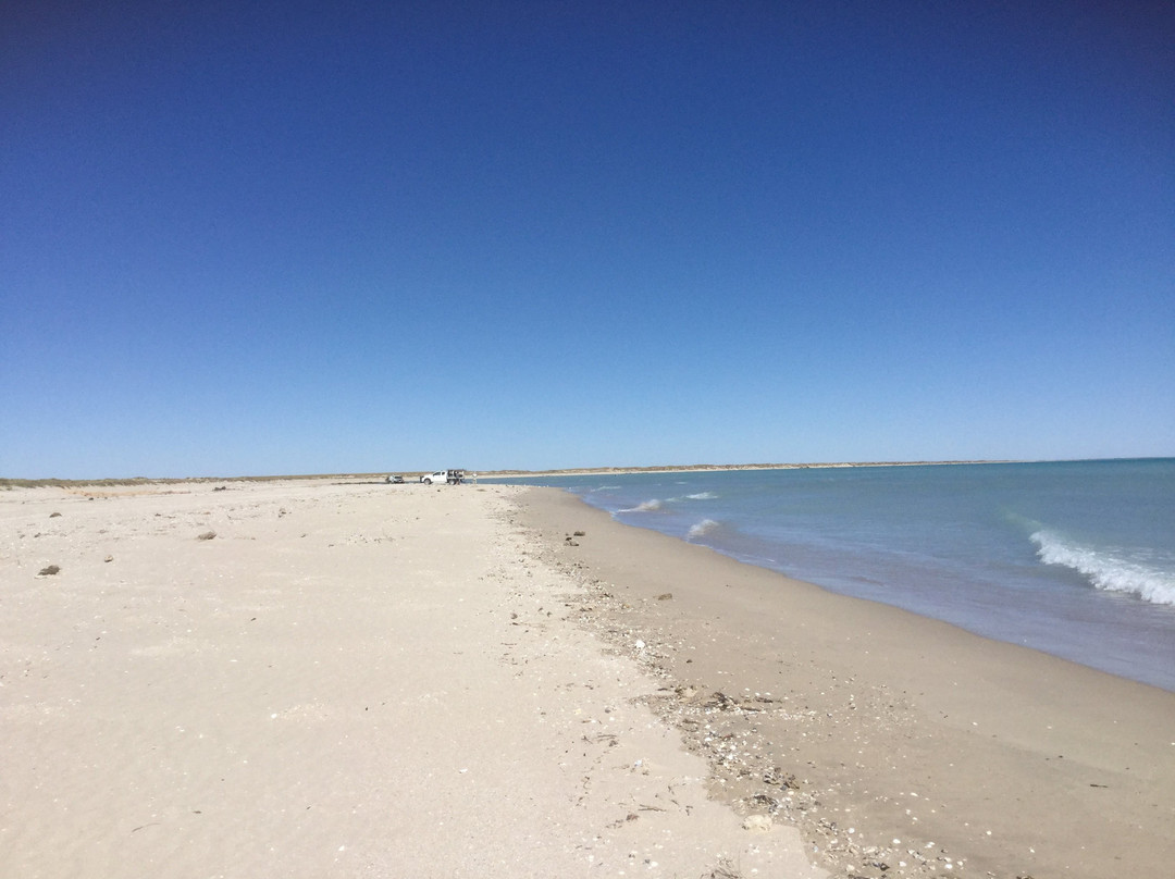 Pardoo旅游攻略图片