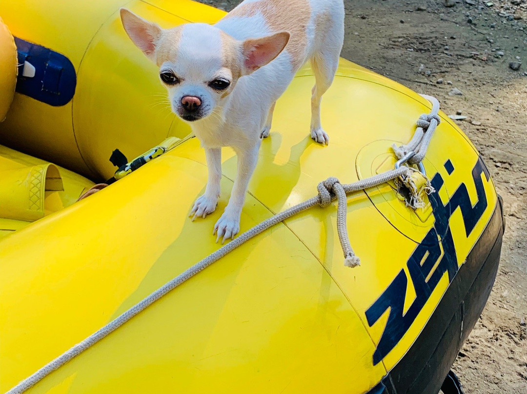 Awa Rafting-Coroico必去景点