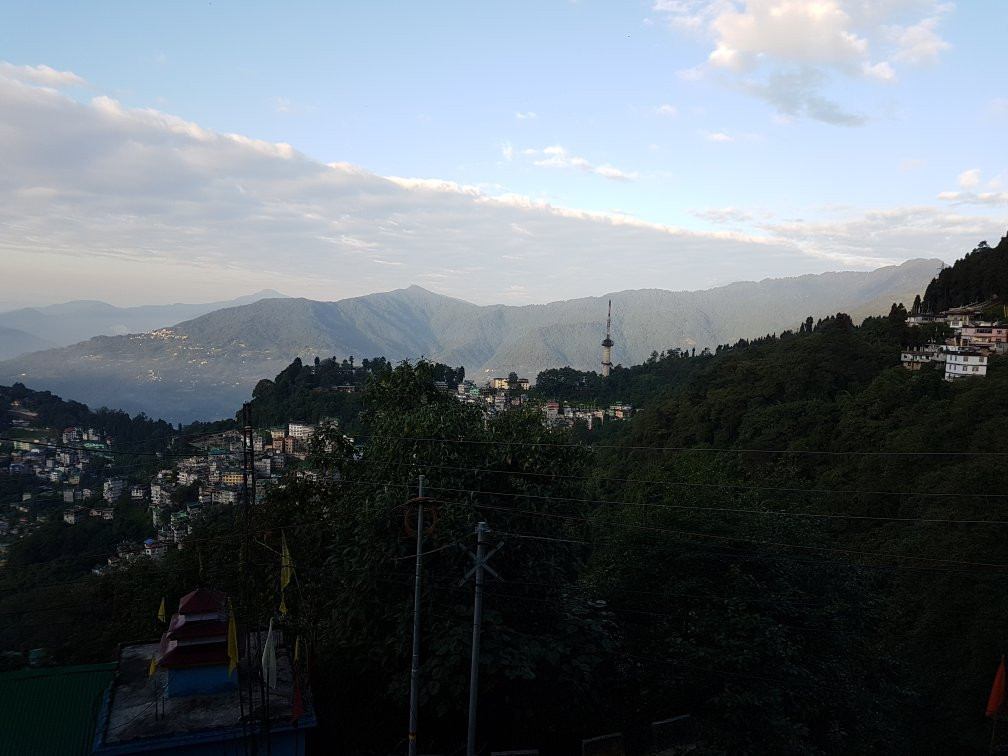 The Griffon's Nest主图