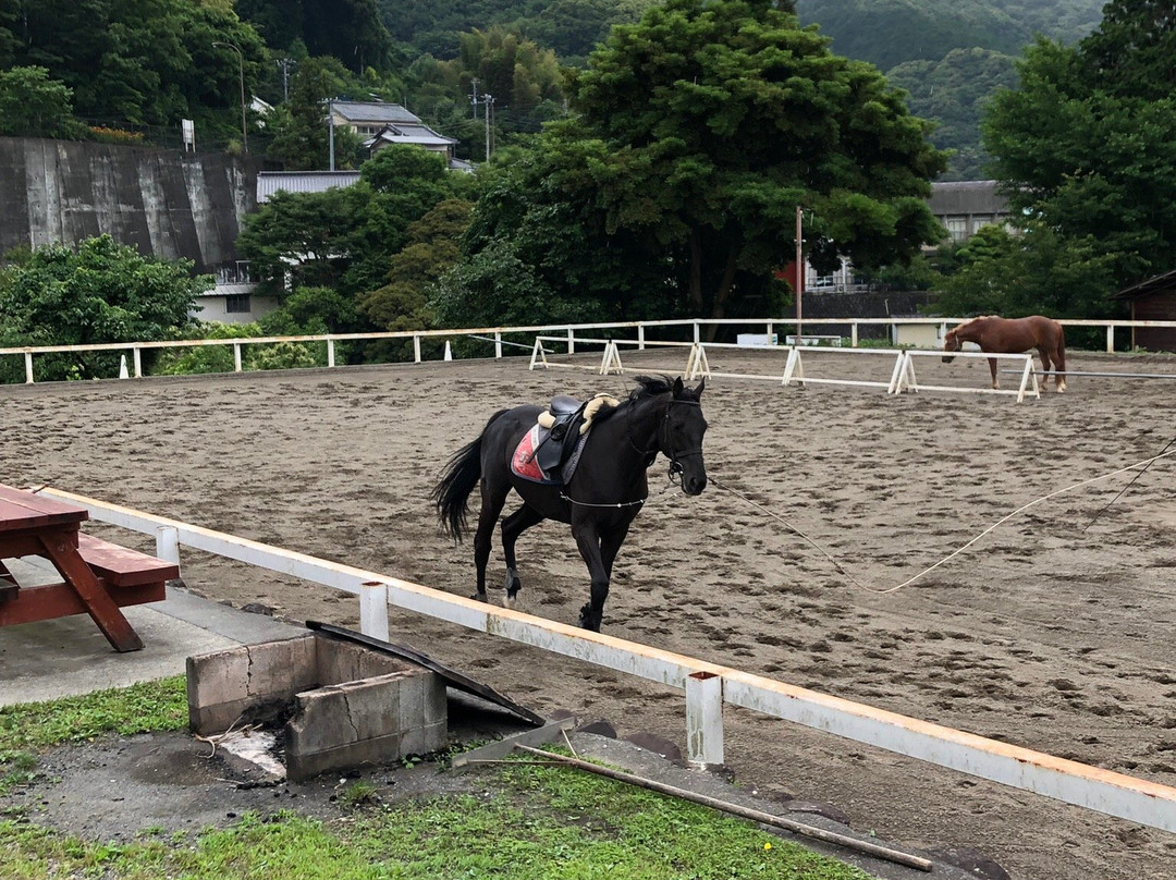 Amagi Horse Village景点图片
