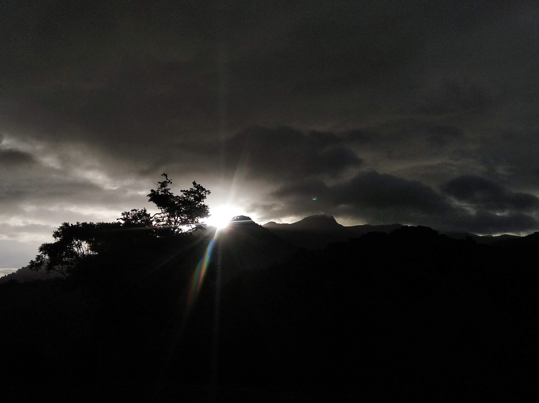 Rain Country Resorts主图