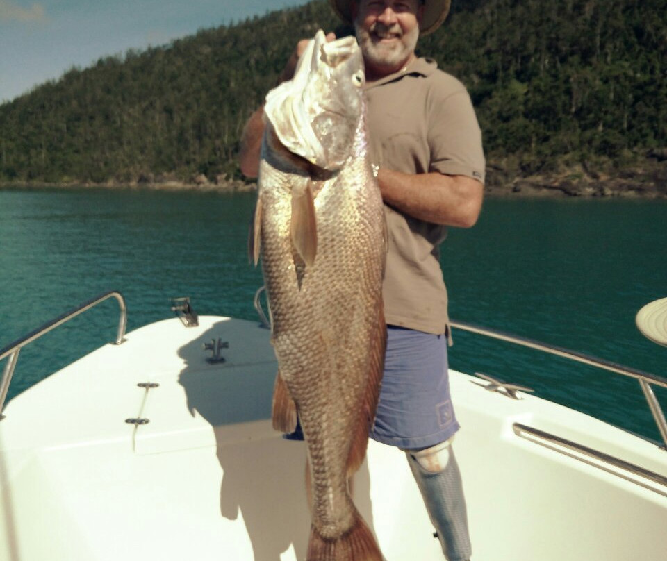 Barra 2 Billfish Fishing Charters景点图片