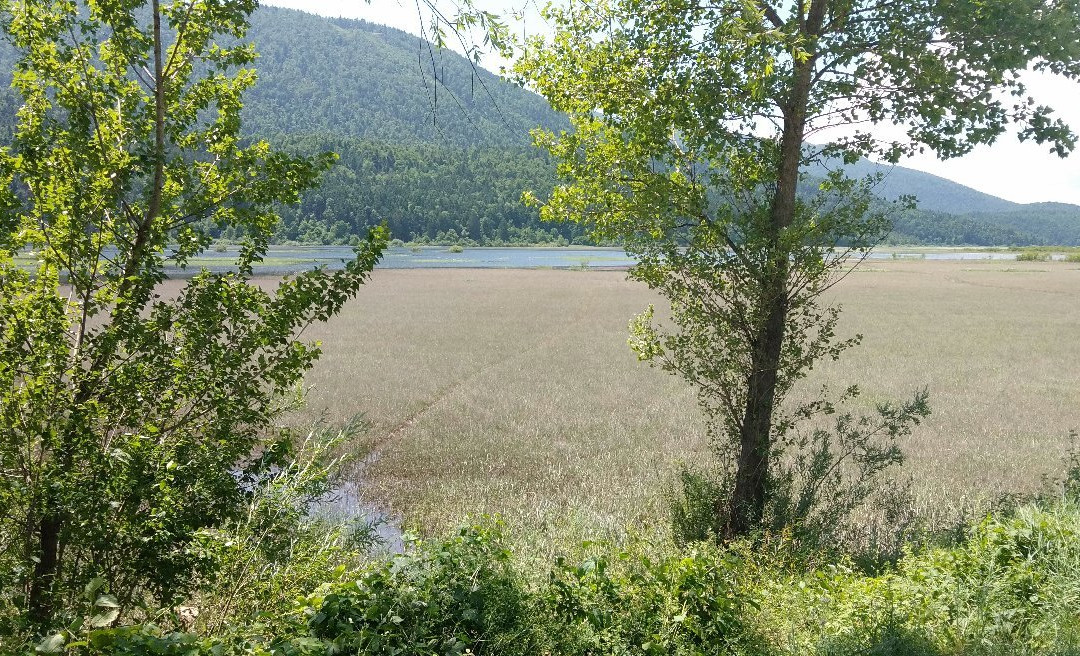 Cerknica Lake景点图片
