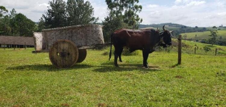 Estalagem Fazenda Lazer主图