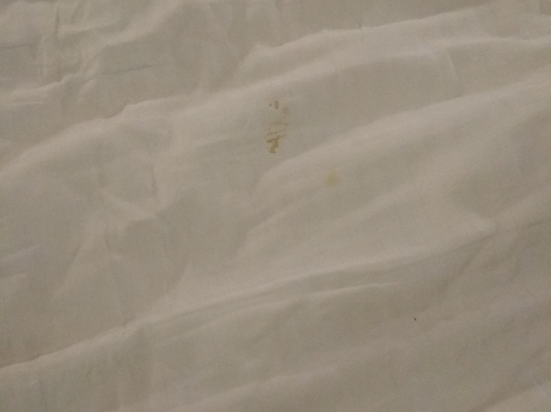 Renest Tirupati主图