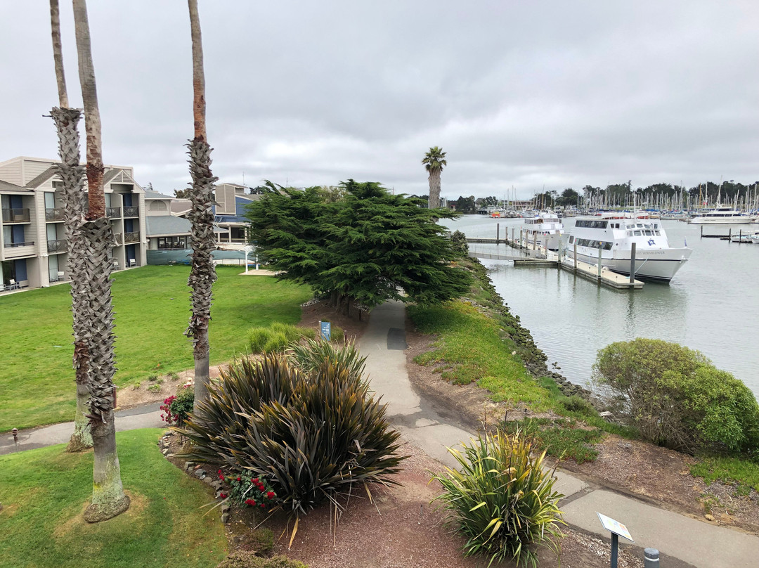 伯克利码头希尔顿希尔顿逸林酒店主图